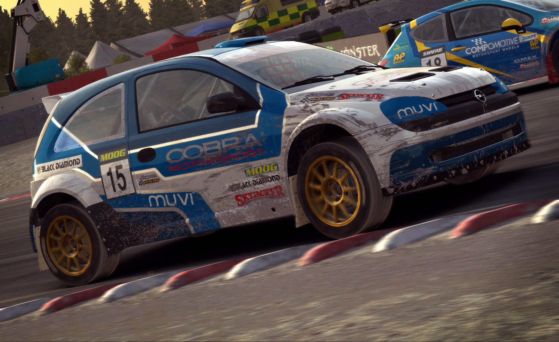 DiRT Rally - Imagen 41